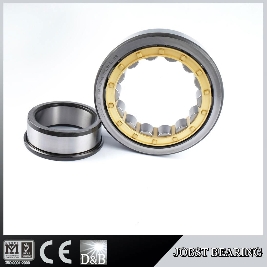 HIGH PRECISION CYLINDRICAL ROLLER BEARING AH 316M/317 