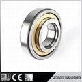 HIGH PRECISION CYLINDRICAL ROLLER BEARING AH 316M/317  3