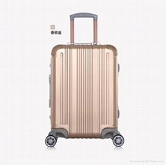 Hot selling l   age aluminum case for travel and business 