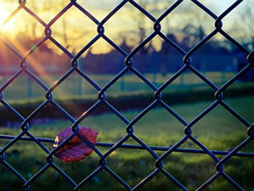 Chain Link Fence 2