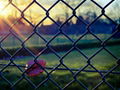 Chain Link Fence 2