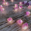 Nature Crystal Lighting Decoration String Lights 7