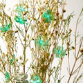 Four Leaf Clover Green Lucky Shamrock Clover String Light 16