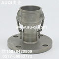 C with flange camlock couplings 1