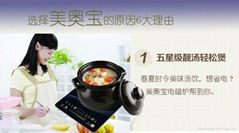 Induction cooker