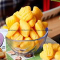 Puffed Corn curls food extruder