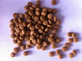 Animal food pellet making machine