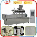 Danaturated starch/Modified starch processing line