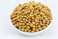 pet Dog cat feed pellet processing making extruder machine plant equipment