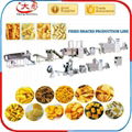 Crispy Rice/Bugle frying Snacks Processing Line