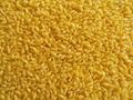 黄金米生产设备