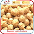 TVP TSP Soya Protein processing  plant