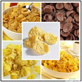 Breakfast cereal corn flakes processing line