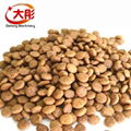 Pet dog food pellet processing machine