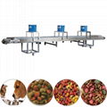 DEVELOPMENT OF FISH FEED PROCESSING EQUIPMENT