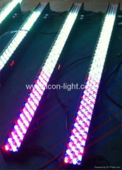 RGB/RGBW F10mm 320pcs led disco bar