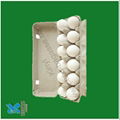 biodegradable bagasse tray 1