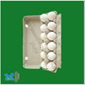 biodegradable bagasse tray