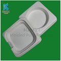 Renewable bagasse pulp packaging