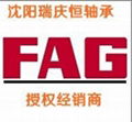 沈阳进口轴承专业FAG轴承代理销售 1