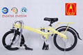 Folding electric bike TDR12Z