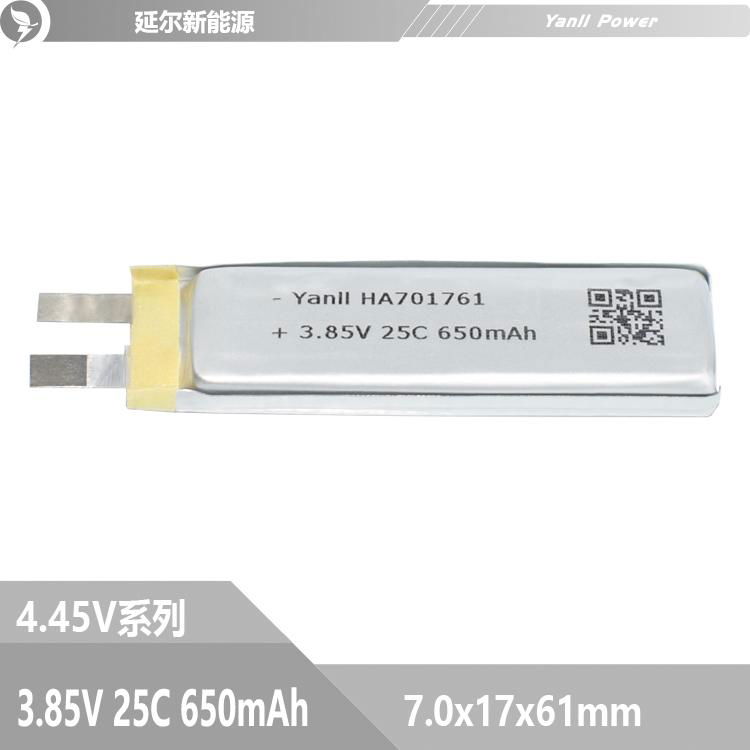 3.85V高电压聚合物锂电池 2