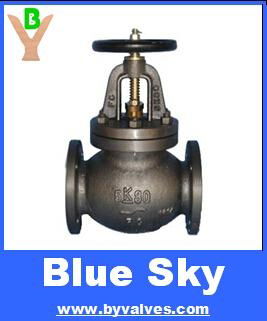 CAST IRON GLOBE/SDNR GLOBE VALVE 2