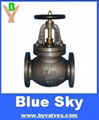 CAST IRON GLOBE/SDNR GLOBE VALVE 2