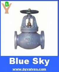 CAST IRON GLOBE/SDNR GLOBE VALVE