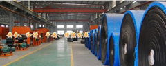 Shandong Longyuan Rubber Co., Ltd. 