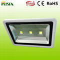 RoHS Approved LED Flood Light with 5