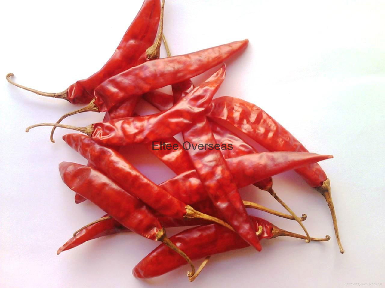 Red Chilli 2