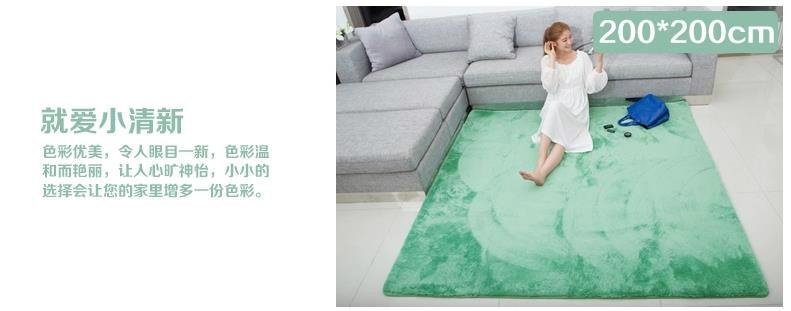 可水洗丝毛绒纯色客厅地毯地垫 4