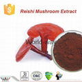 reishi mushroom extract 1