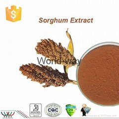 Natural antioxidant sorghum extract