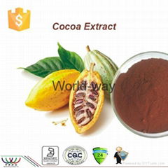 cocoa seed extract