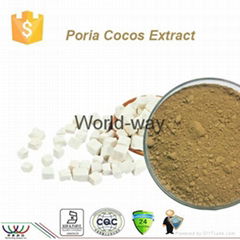poria cocos extract