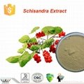 schisandra extract 1