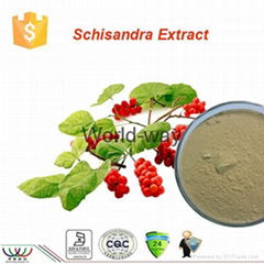 schisandra extract