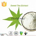 natural sweetener sweet tea extract 1