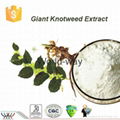 98% Trans resveratrol giant knotweed extract