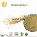 Pure natural pesticide free ginseng