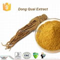 Dong Quai Extract