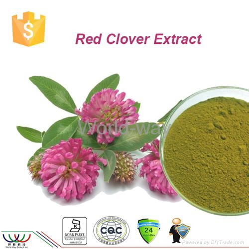 Red Clover Extract