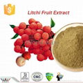 Litchi Fruit Extract