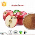 Apple Extract