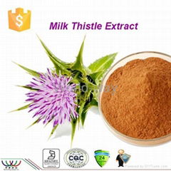 Milk Thistle Extract