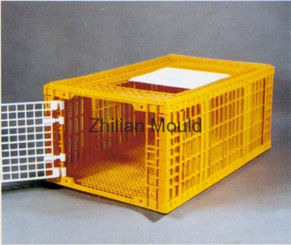 Taizhou high quality plastic poultry transport crate mould 4