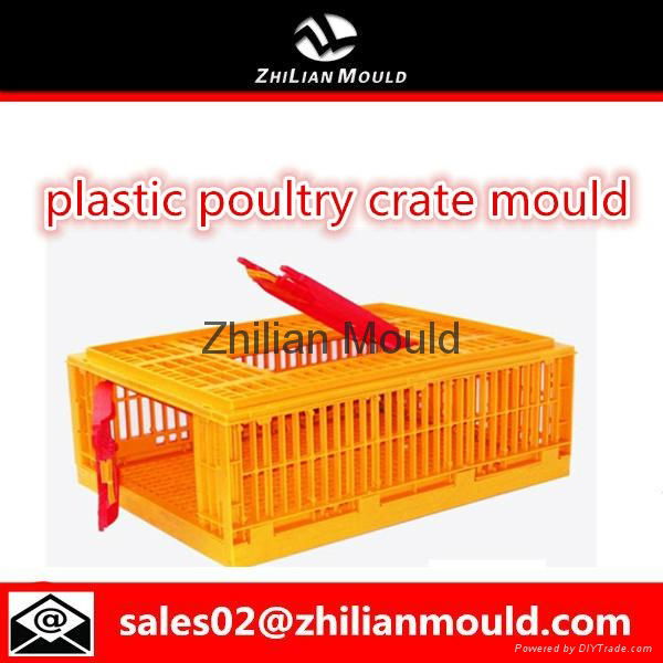 Taizhou high quality plastic poultry transport crate mould