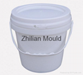 Taizhou customized plastic paint bucket mould with high quality 2